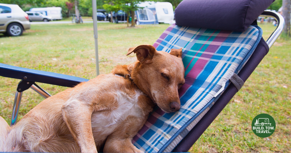 How to Find the Best Pet-Friendly Campsites